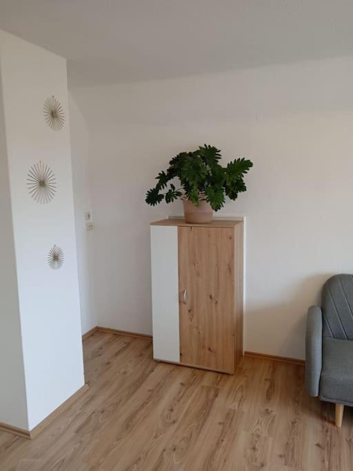 Ferienwohnung Allgaeu 5 梅明根 外观 照片